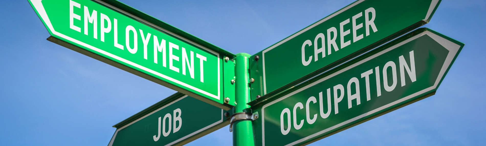 An image of a signpost showing the way to employment and a career